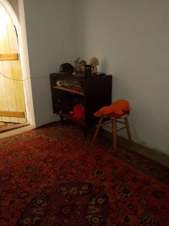 Довгострокова оренда житла для дівчини - фото 1