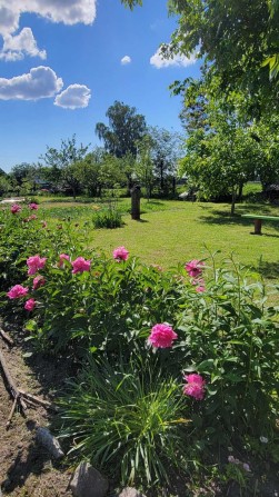 здам в оренду будинок, село Літки Броварський район - фото 1