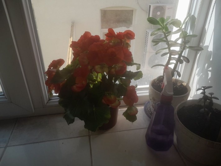 Продам квартиру в центрі - фото 1