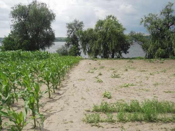 Продам будинок на березі Дніпра Днепр