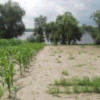 Продам будинок на березі Дніпра Дніпро