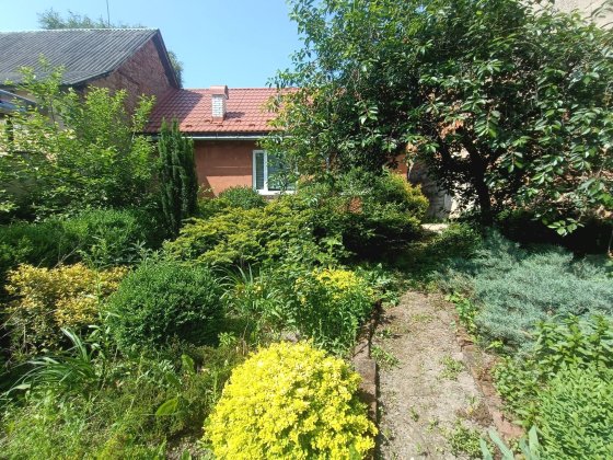 Продаж в ЦЕНТРі вул.МИРУ/БІЗНЕС  сусіди Мукачево