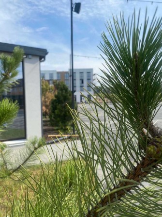 Смарт-квартира всього 14725$ від офіційного забудовника. - фото 1