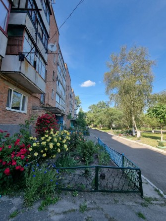 Затишна 2х кімнатна квартира на середньому поверсі, район новобудови - фото 1