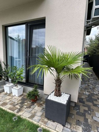 Продається квартира зі своїм двориком Ужгород|Garden|VIP - фото 1