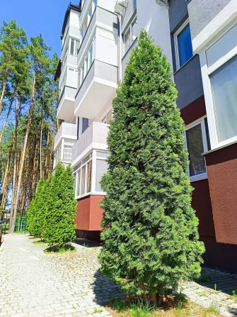 Бортничи, квартира с ремонтом ЖК Идея - фото 1