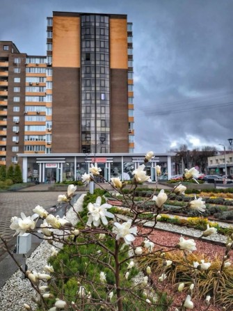 Двокімнатна квартира ЦЕНТР - фото 1