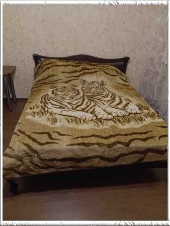 Продам 2 комн. из. кв. р-н Парка Горького, сталинка (403331) - фото 1