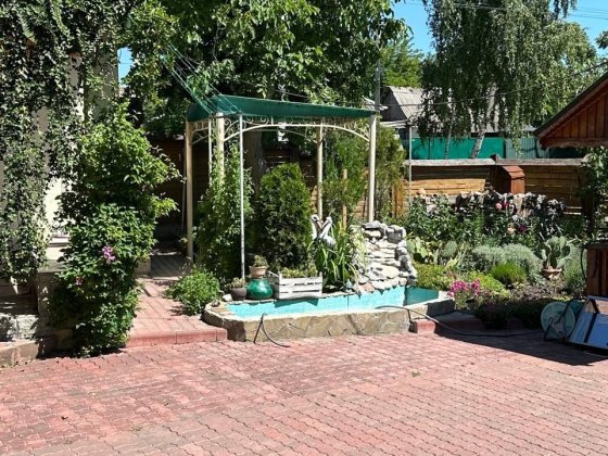 Продам будинок Центр з діючим кафе Олександрія