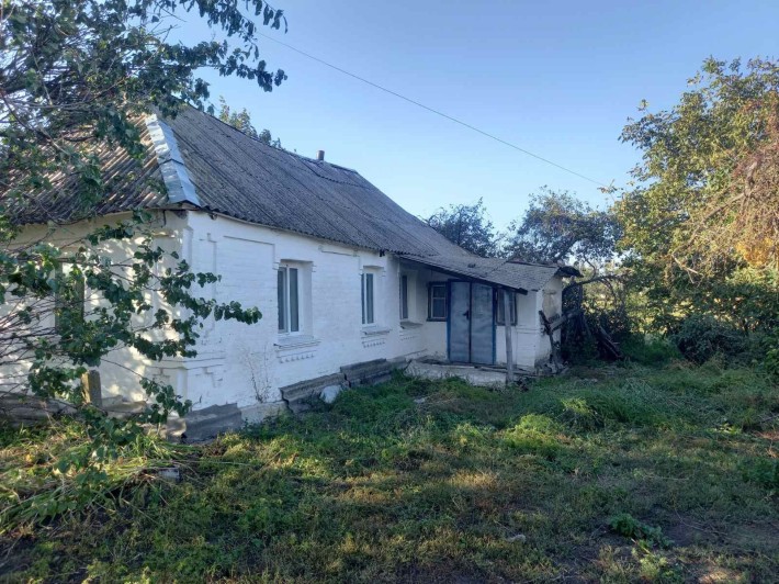 Продається будинок в селі Мовчанівка Бердичевського району(Ружинський) - фото 1