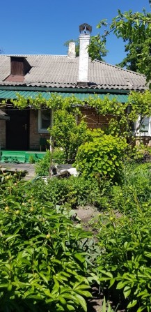 Недвижимость  дом - фото 1