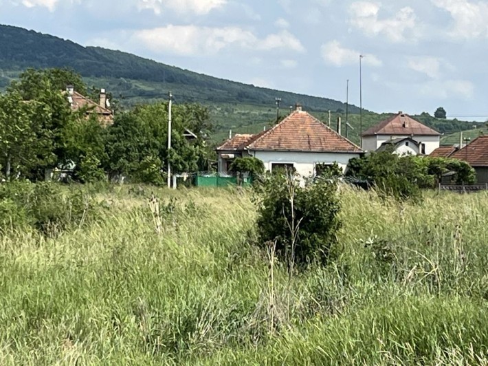 Дім 103 м2 приват ділянка 15 сотин Берегово Травнева 25 - фото 1