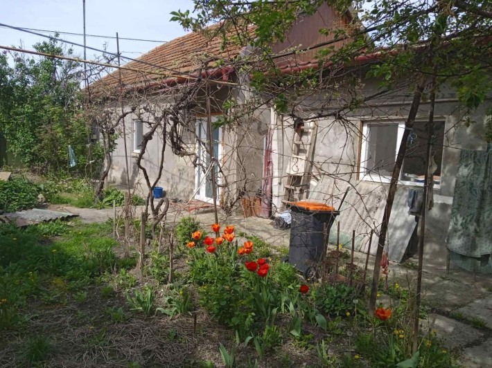 Пропоную будинок  зі зручностями  Берегово - фото 1
