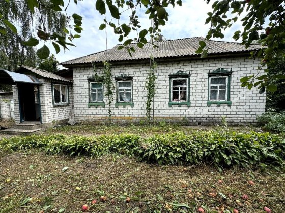 Приватний будинок Бобровиця