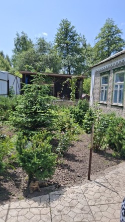 Продам будинок 69м2 - фото 1