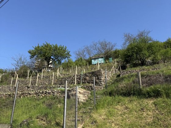 Дача з чудовою панорамою Виноградів