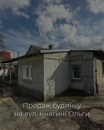 Продам будинок з надвірними спорудами - фото 1