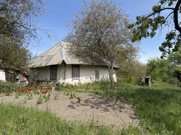Продаж будинку з великою земельною ділянкою. Васильків - фото 1
