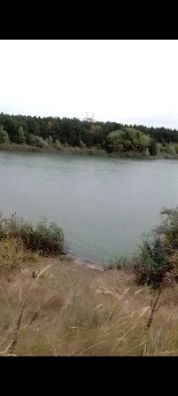 Две Дачи на берегу залива Днепра Сады 2, продажа или обмен на АВТО. - фото 1