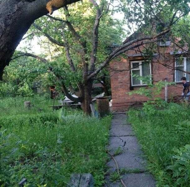 Міцний дачний будинок, Високий - фото 1