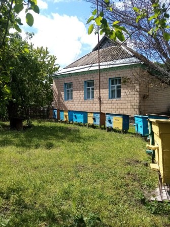 Продається будинок, Черкаська область, с Мліїв. - фото 1