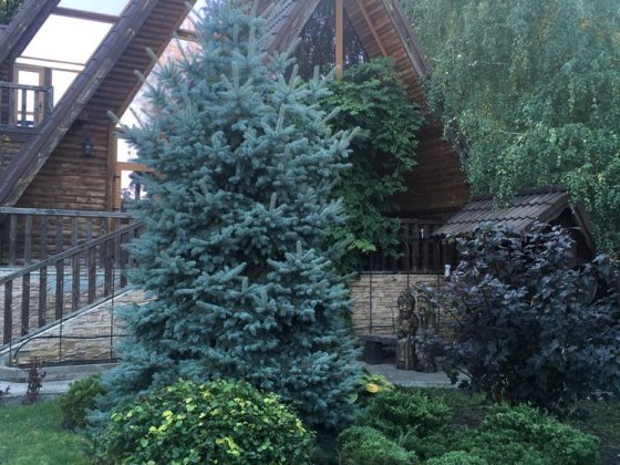 Дом в тихом уютном микрорайоне Знаменка