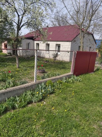 Будинок в с.Іванківці - фото 1