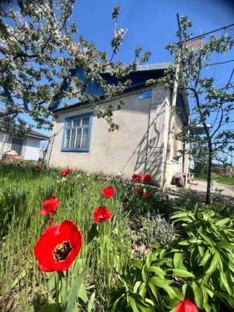 Участок с домиком, не далеко от моря (г.Черноморск) - фото 1