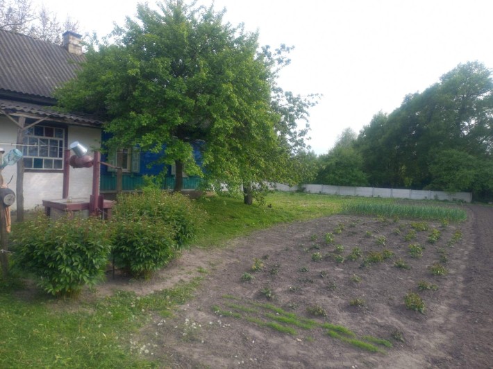 Продається будинок - фото 1