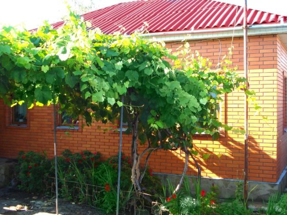 Продам свой дом с ремонтом . Район Роща. Конотоп