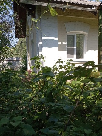 Продається будинок у м. Коростені - фото 1