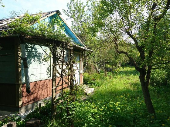 Продам дачу, дешево Коростень