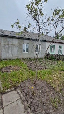 Продам 1/2 будинку в районі 1-ї школи - фото 1