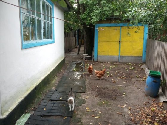 Продам отдельный компактный дом возле газового хозяйства Коростень