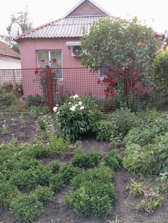 Продам будинок на два виходи - фото 1