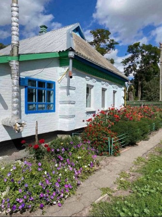Продається будинок  с. Богодарівка - фото 1