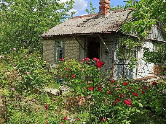 Домик с большим участком в садовом товариществе Люботин