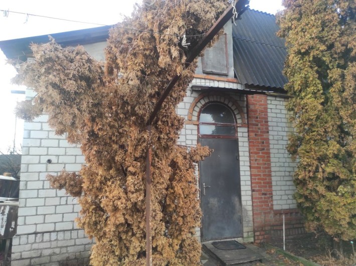 Продам м Мерефа будинок. - фото 1