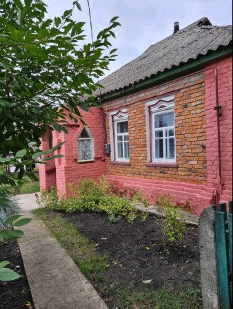 Продам або обміняю будинок в Миргороді - фото 1