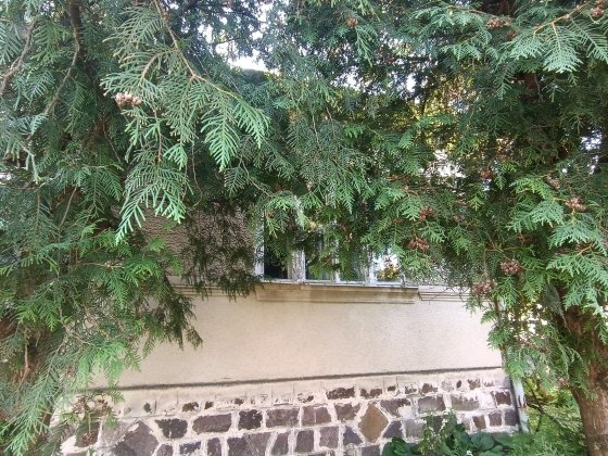 Продаж Ракошино Будинок Мукачеве