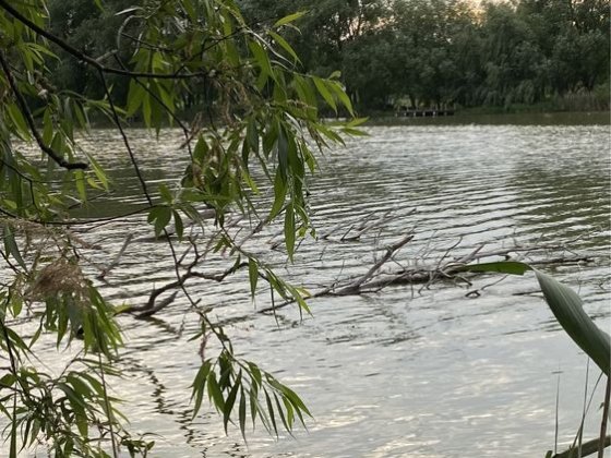 Будинок біля води, Обухівський  р-н Обухів