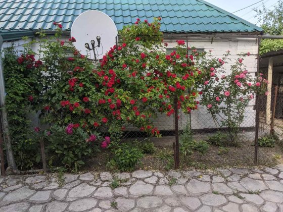 Продам дом в Павлограде, аренда не рассматривается, в нем живу. Павлоград