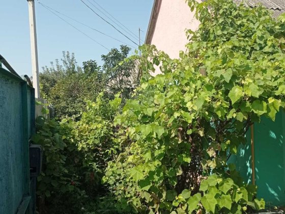 Дом в центре города с удобствами Павлоград