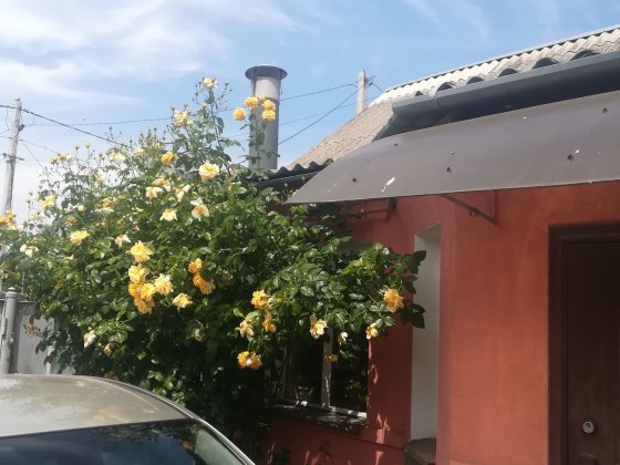 Продам дом центр Горветка, возле автостанции Павлоград