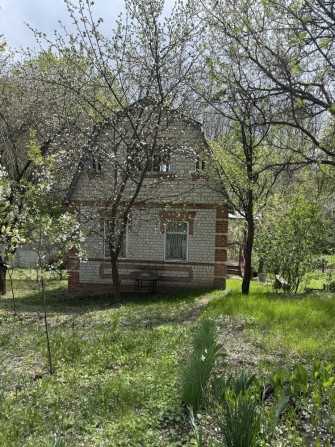 СобственникПродам земельный участок с домом в Солоницевке( Гавриловка) - фото 1