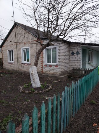 Срочно продам хороший дом в Солоницевском ОТГ (п.Двуречный Кут) - фото 1