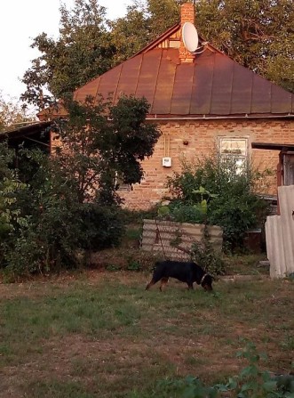 участок в центре, срочно, торг - фото 1