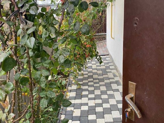 Продаж будинку Гречани LIN 24633 Хмельницький