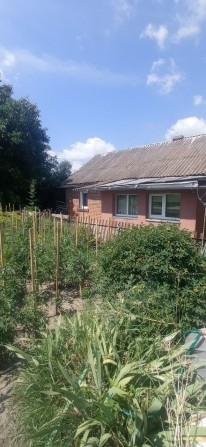 Продаж будинку в Лісових Гринівцях - фото 1