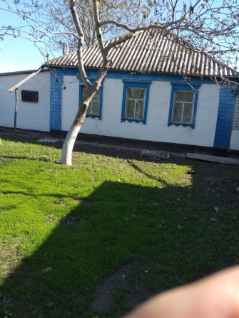 Продам будинок з газом Пологі Яненькі - фото 1